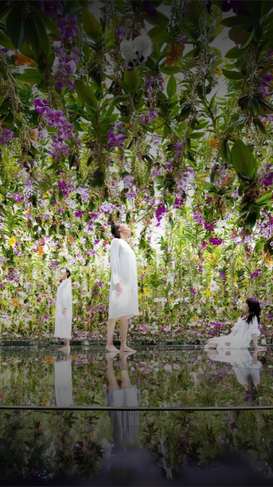 Laurel, an immersive world at Spectra Museum